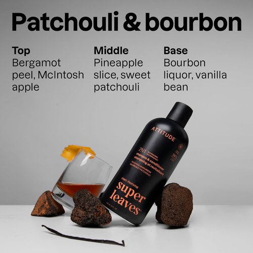 ATTITUDE Men's 2-in-1 Shampoo & Conditioner - Nourishing Formula for Dry Hair & Scalp | 14 Fl Oz
