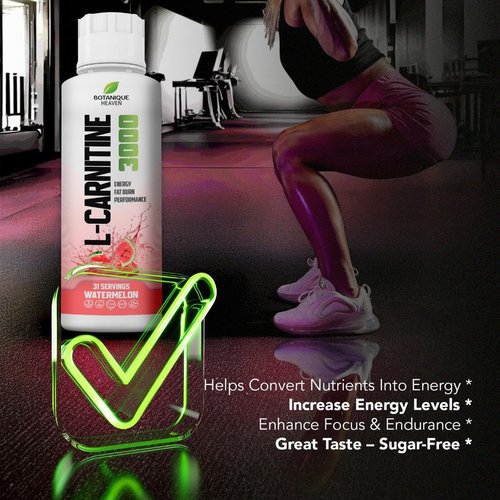 Liquid L-Carnitine by Skiennix - 3000 mg Fast Absorption Formula | Sugar-Free, Vegan, Non-GMO | Energy & Metabolism Support | 31 Servings