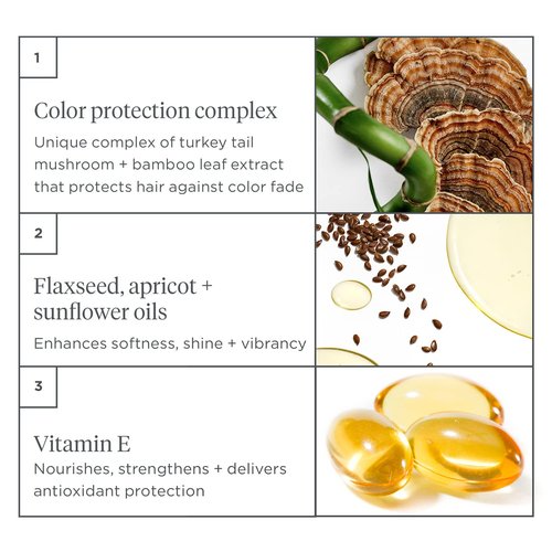 Briogeo Color Me Brilliant Primer - Protects Vibrant Hair Color | Vegan & Paraben-Free | 3.4 Ounces