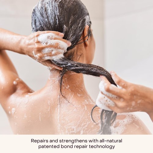 Everist Haircare Travel Duo - Deep Hydration Shampoo & Conditioning Concentrate | Aloe Vera, 2 x 0.7 fl oz Set