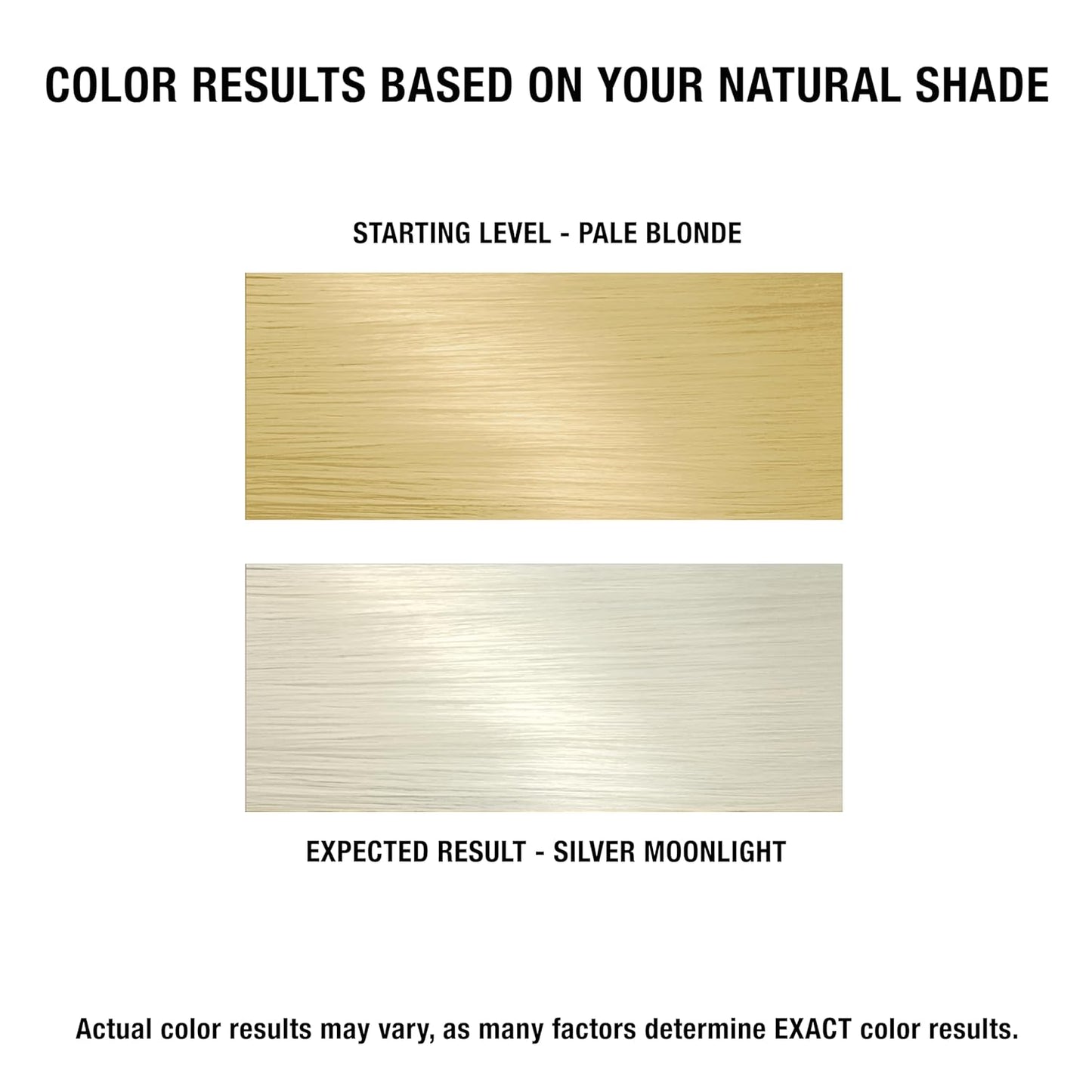 AGE Beautiful Demi Liqui-Creme 5-Minute Express Toner - Enhance Gray Hair, Ammonia Free, Nourishing Shine