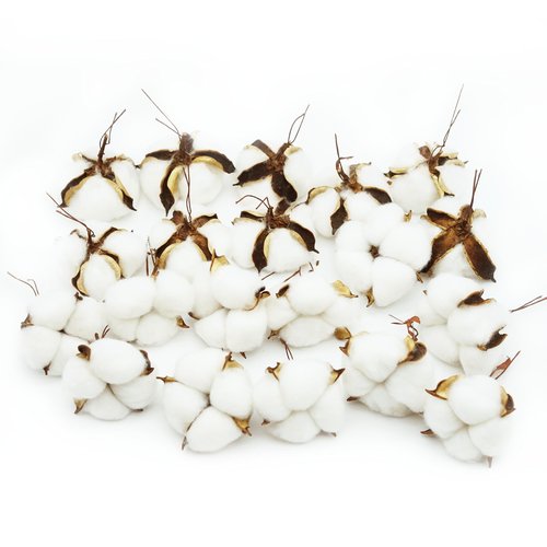 25 Pcs White Cotton Bolls Balls Decor, Dried Cotton Balls for Wreath Decorative, Home, Wedding Decor Balls