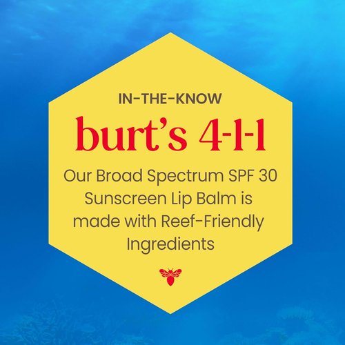 Burt’s Bees SPF 30 Lip Balm - Island Getaway, Coco Loco & Beaches Cream | Water-Resistant Natural Care, 3 Tubes