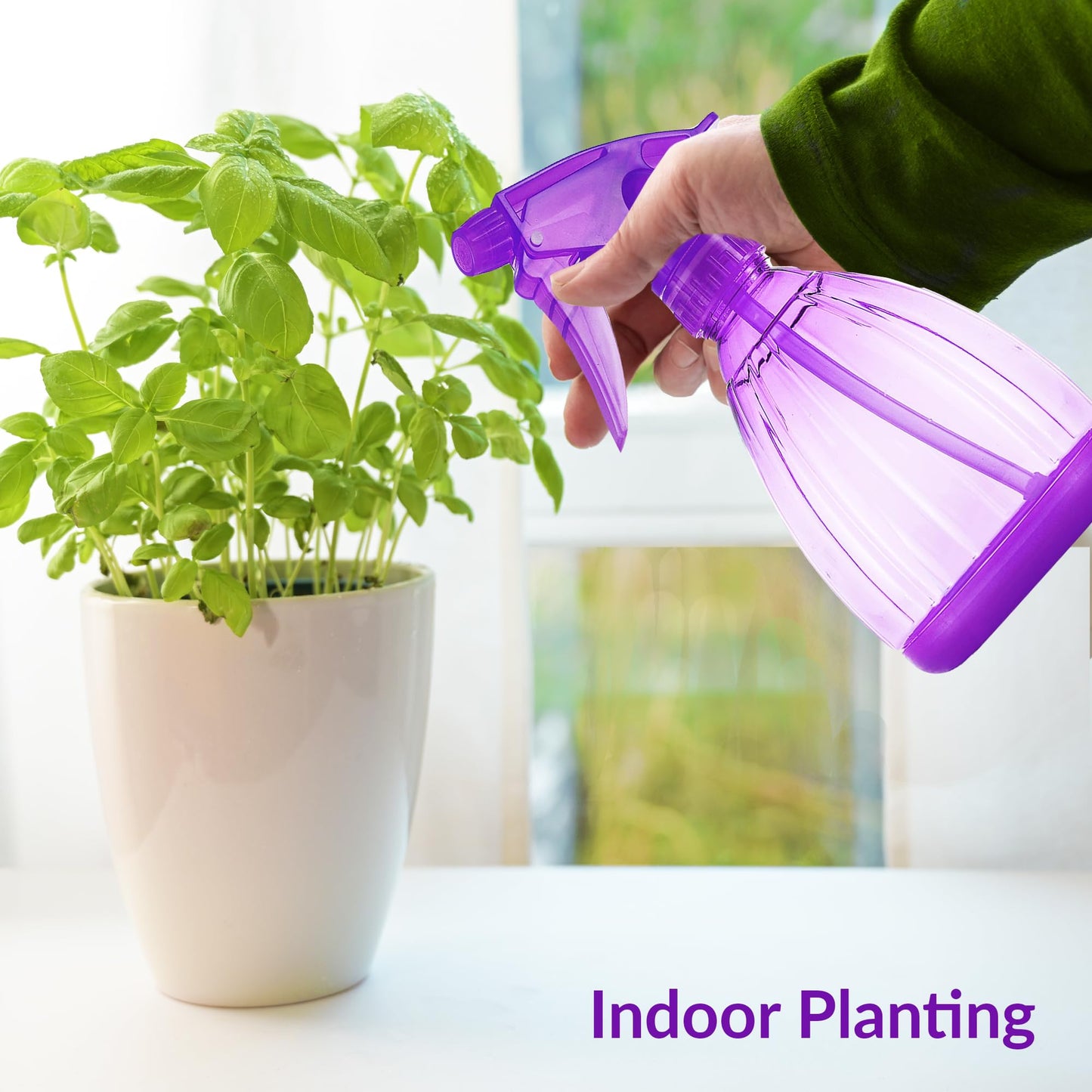 DilaBee Spray Bottles (12 Oz) Water Spray Bottle for Hair, Plants, Cleaning Solutions, Cooking, BBQ, Squirt Bottle for Cats - Empty Spray Bottles - BPA-Free - Multicolor (Purple, 1 Pack)