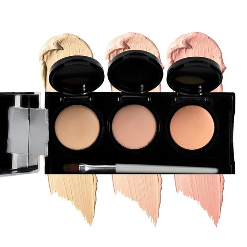 Dermaflage Waterproof Concealer Palette - Full Coverage Matte Finish for Face & Body | Hides Dark Circles & Acne - Light Shades