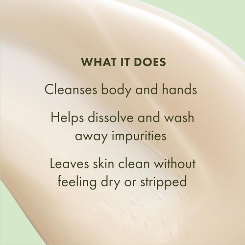 Origins Plantfusion Hand & Body Wash - Cleanses and Conditions with Glycerin | 6.7 Fl Oz