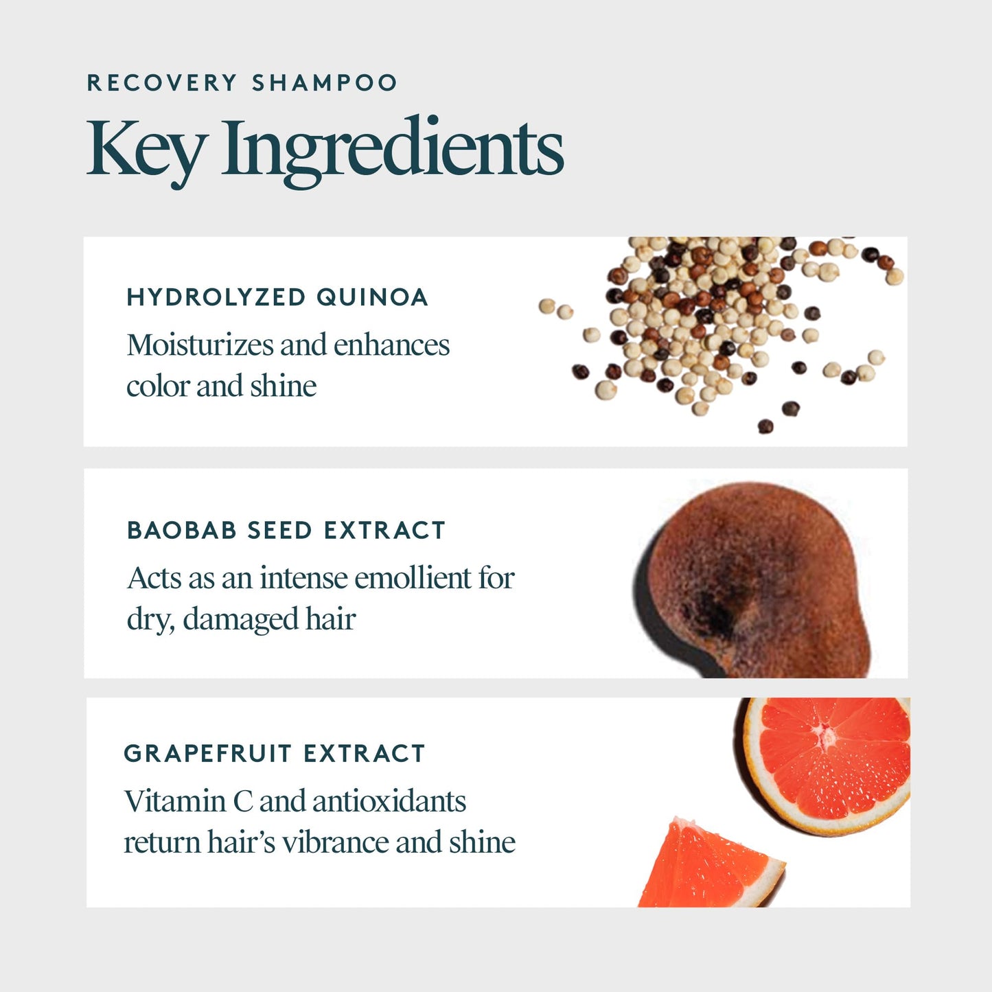 VIRTUE Recovery Sulfate Free Shampoo with Keratin and Baobab Seed Oil for Damaged Hair, Color Safe