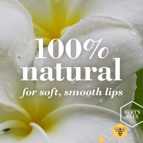 Burt's Bees Wild Cherry Lip Balm - Moisturizing Formula for Soft Lips | 0.15 Ounce