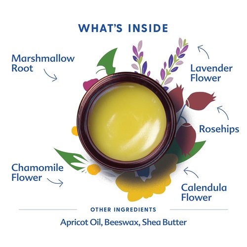 Motherlove Pregnant Belly Salve - Moisturizing Balm for Growing Bellies | Non-GMO & Organic Herbs (4 oz)