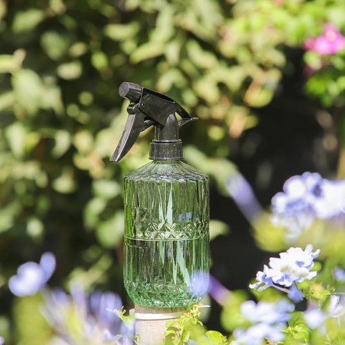 OFFIDIX Fine Mist Plant Mister - Handheld Glass Spray Bottle with Adjustable Nozzle | 0.43L/15.17oz Light Green