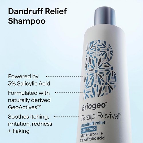 Briogeo Scalp Revival Shampoo & Conditioner Bundle - Anti-Dandruff Care with Charcoal & Salicylic Acid | 2 x 8.4 fl oz