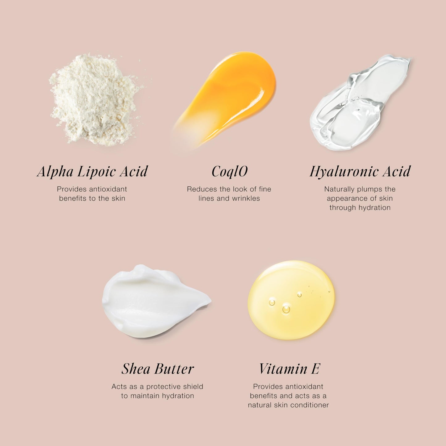 Jouer Skin Barrier Cream - Skin Barrier Repair Moisturizer - Hydrating Hyaluronic Acid DD Cream - Wrinkle Cream - Anti Aging Night Face Cream with Alpha Lipoic Acid and Coq10-1 oz