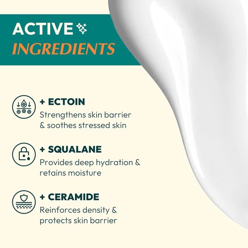 Ectoin Lotion by All-in-One | Korean Face Moisturizer with Ectoin, Squalane & Ceramide - Hydrating & Gentle for All Skin Types, 3.38 fl. oz.