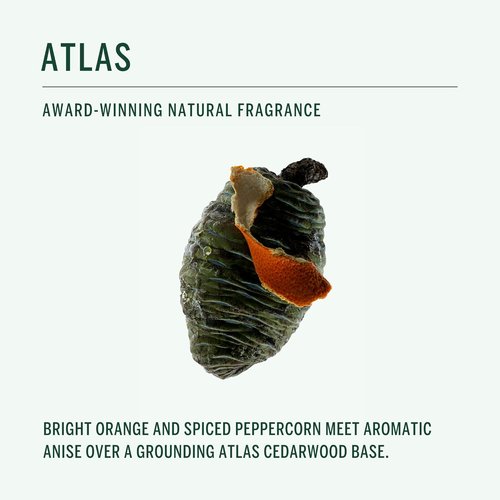 CORPUS Natural Deodorant Stick - Sensitive Skin Formula | Aluminum & Baking Soda Free | Unisex, Non-Toxic, USA Made