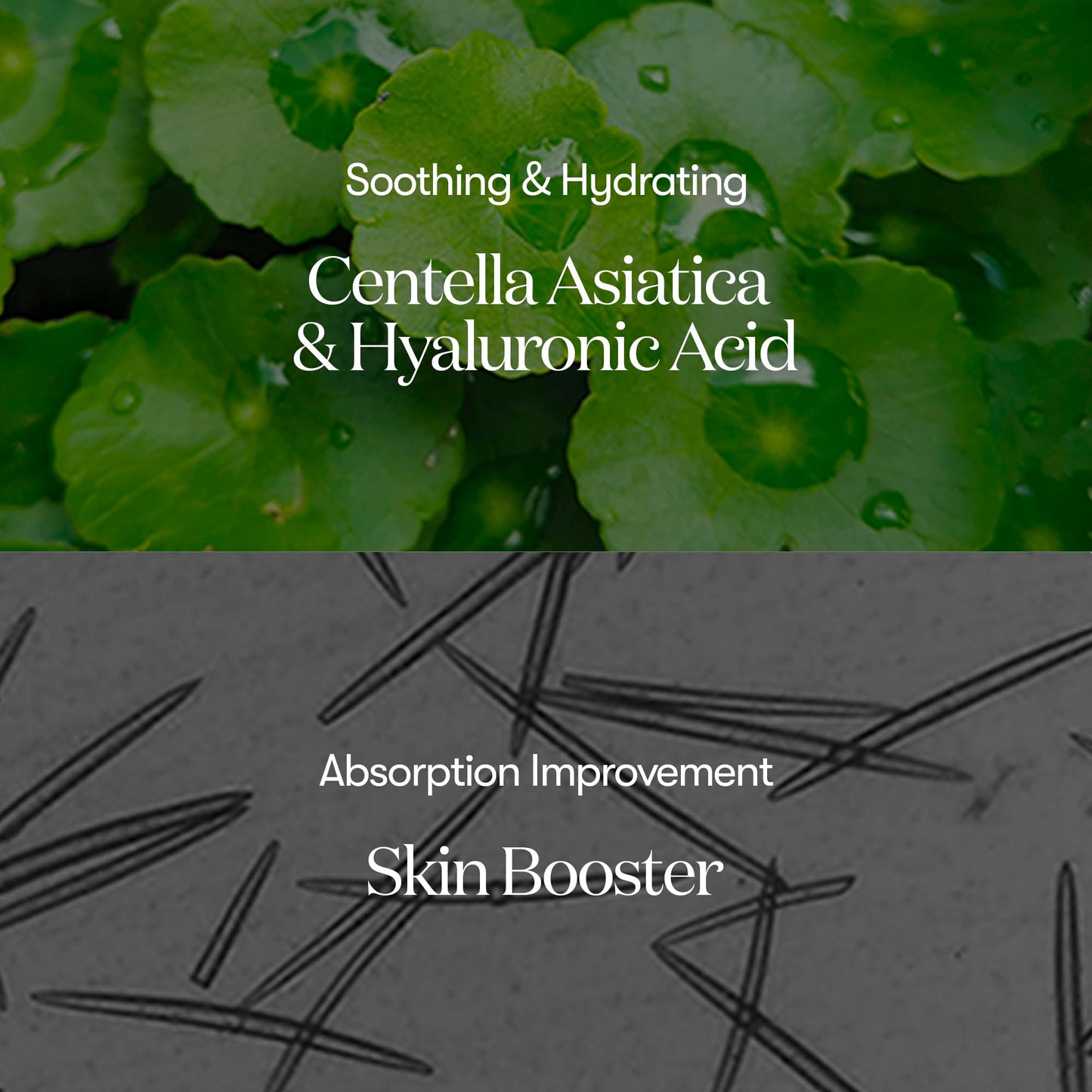 VT COSMETICS CICA Reedle Shot 50, Spicule Microneedling Serum for Pore Care & Exfoliation, Exosome, Centella Asiatica for Glass Skin, Smooth Texture, Korean Liquid Skin Booster (1.69 Fl Oz / 50ml)