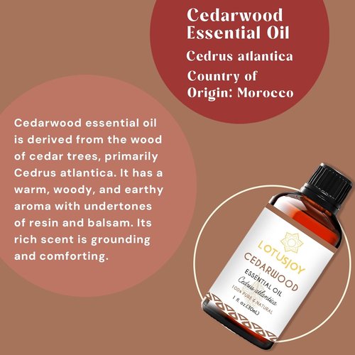 Cedarwood Essential Oil - Aromatic Diffuser Blend for Home | 1 Oz Bottle