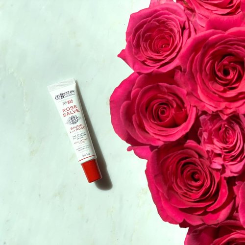 C.O. Bigelow Lip Balm Trio - Rose Salve, My Favorite Balm & Mentha Shine | 3 Pack, 0.5 oz