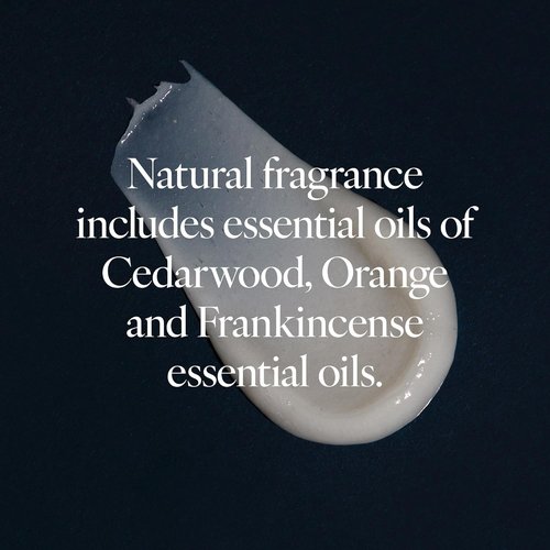 LATHER Forest Cedar & Acai Conditioner - Hydrating & Strengthening Hair Care | Natural & Sulfate-Free | 12 oz
