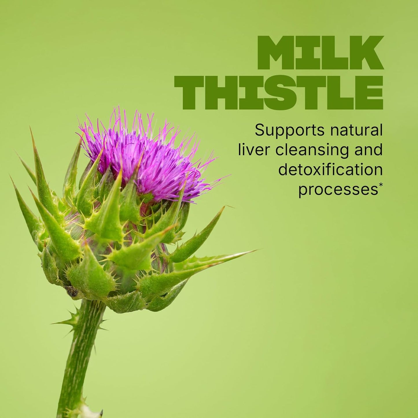 Swisse Milk Thistle Supplement - Liver Detox & Repair with Turmeric & Artichoke Extract | 180 Vegan Tablets