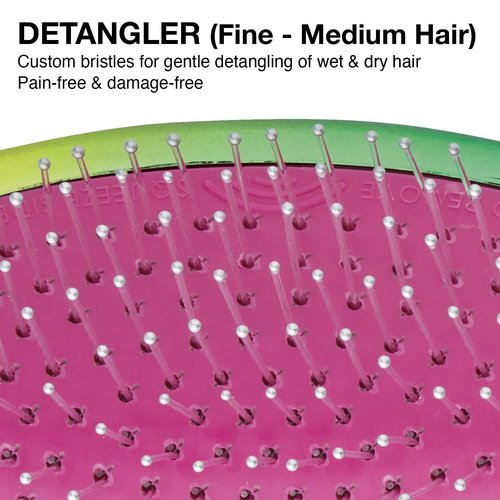 Olivia Garden Aurora Detangler Brush - Effortless Detangling for Fine to Medium Hair | Rainbow Design