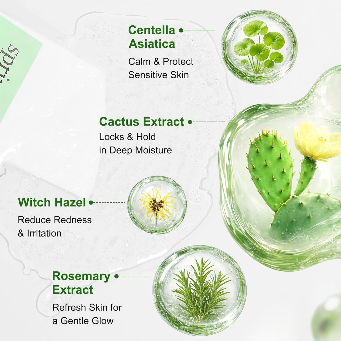 SPRINGSKY Hydrating Face Mask - Natural Cactus & Centella Asiatica for 24HR Moisture | 4 Count