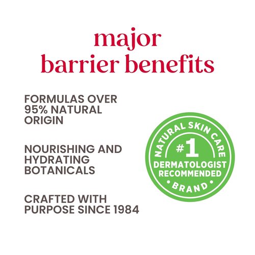 Burt's Bees Lip Balm Set - 4 Natural Flavors: Pomegranate, Sweet Mandarin, Coconut & Watermelon