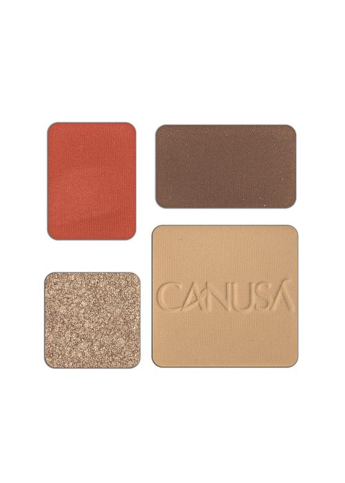 Regine Switzerland 4-in-1 Contour Palette - Blush, Matte & Pearlescent Highlighter, Bronzer | Long-Lasting Makeup