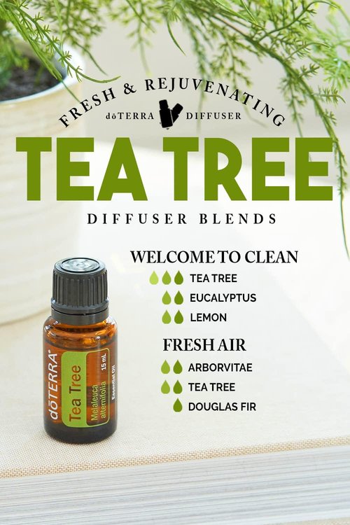 doTERRA Melaleuca Essential Oil - 15 ml | Therapeutic Grade, 100% Pure, 2 Pack