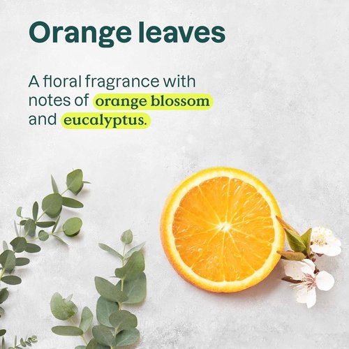ATTITUDE Body Wash & Hand Soap Set - EWG Verified Vegan Duo, Energizing Orange Leaves, 16 Fl Oz Each