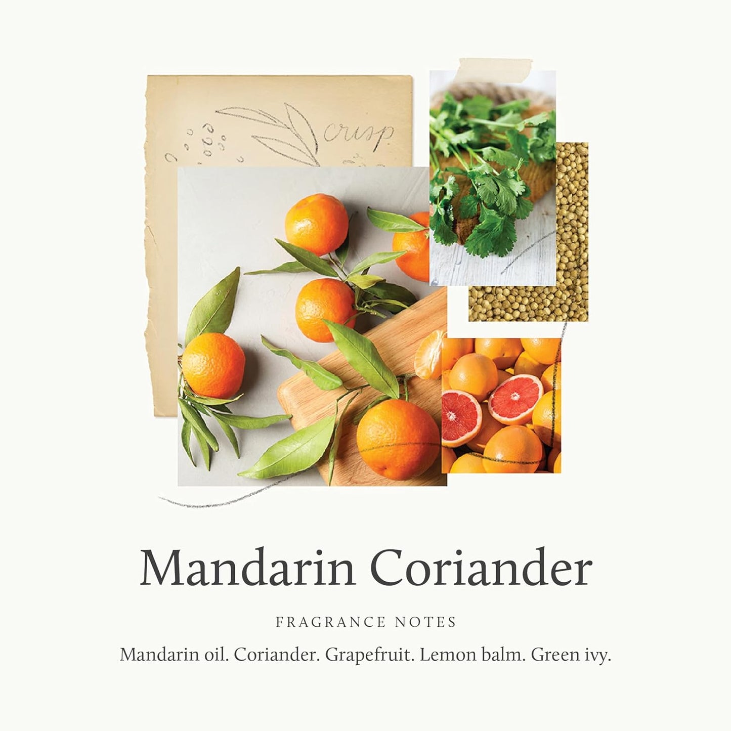 Thymes Hand Wash - Mandarin Coriander Scent - 15 Fl Oz | Luxurious Foaming Cleanser