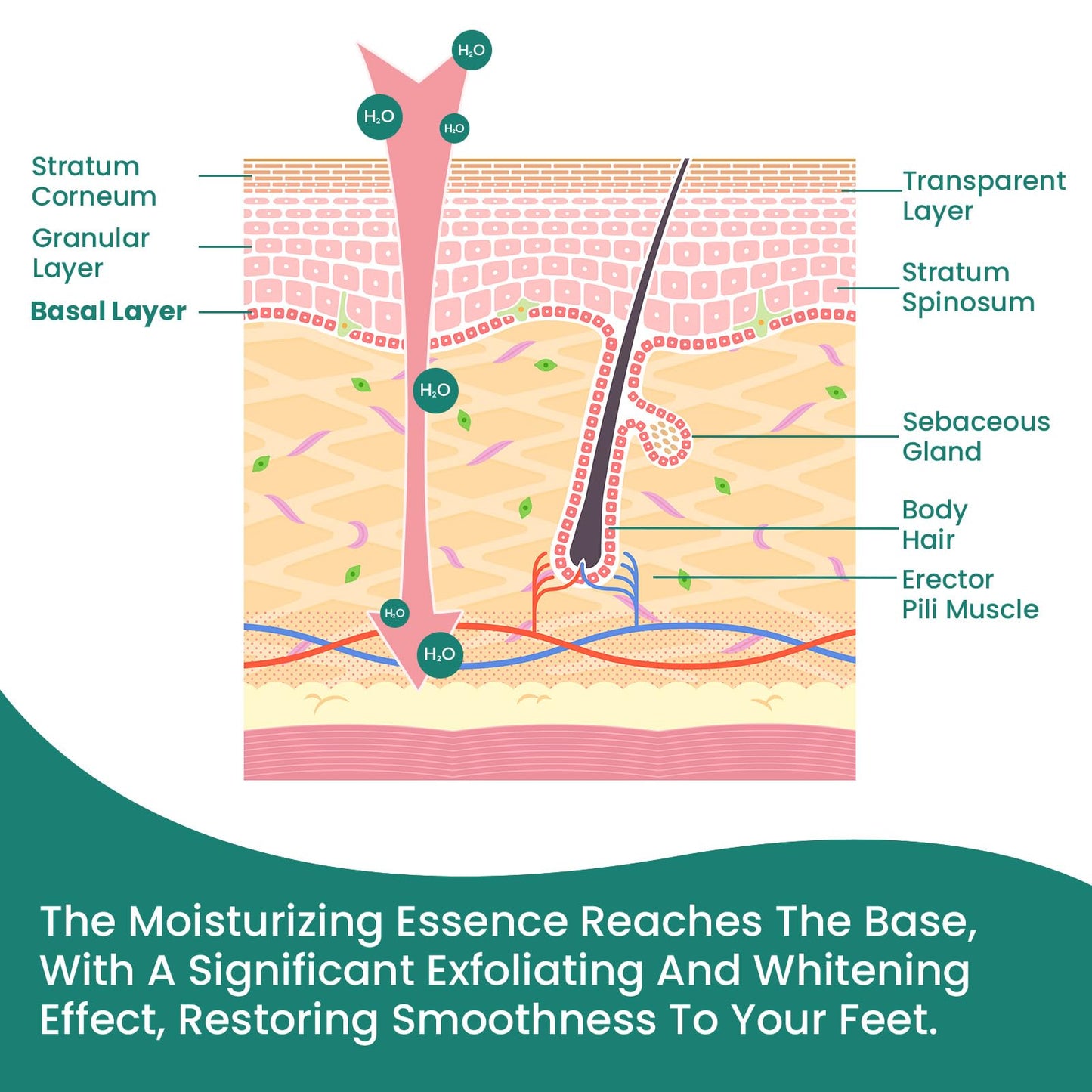 Welnove Moisturizing Heel Socks - 2 Pairs Aloe Vera Extract Infused Gel Lining for Dry Feet - Cracked Heel Repair Treatment - Cotton Socks for Women Men Foot Care (Pink, Extra Large)