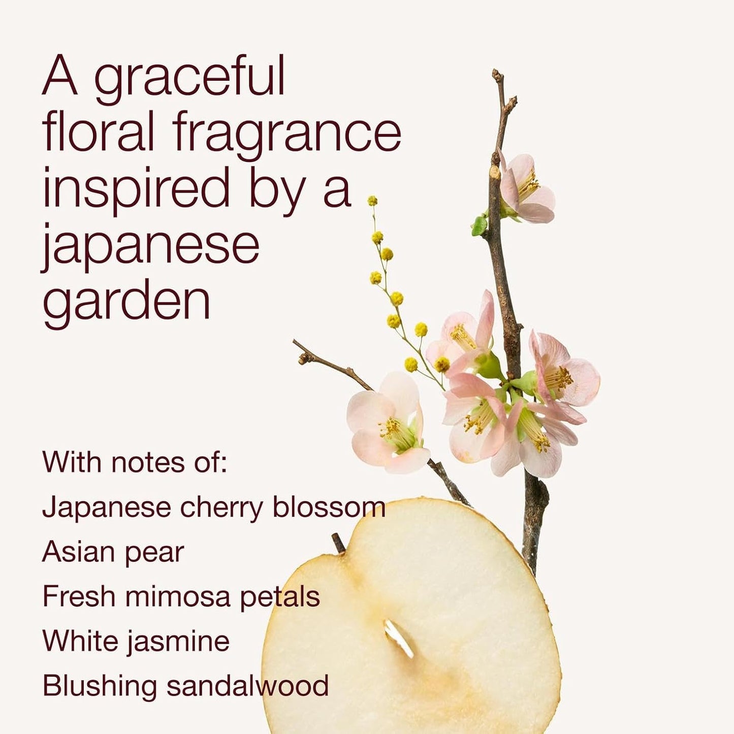 Bath & Body Works Japanese Cherry Blossom Body Lotion - Lightweight Moisturizer with Shea Butter & Coconut Oil, 8 fl oz | 2 Pack