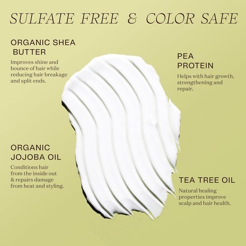Ingreendients Tea Tree Hair Conditioner - Organic, Sulfate-Free & Color-Safe with Shea Butter & Jojoba Oil