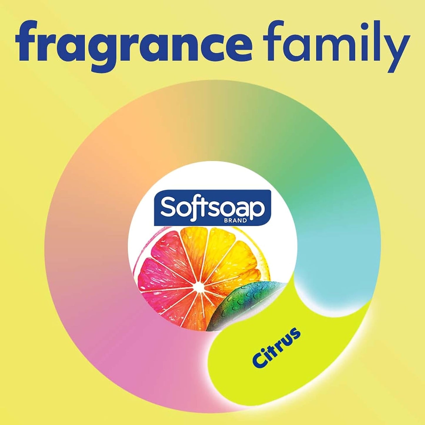Softsoap Antibacterial Liquid Hand Soap - Fresh Citrus Scent | 11.25 Ounce, 6 Pack