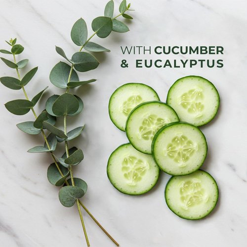 Pueblo Remedy Body Wash - Cucumber & Eucalyptus | Soothing Vegan Shower Gel, 16.9 Oz