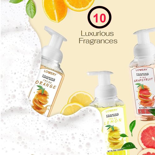 Foaming Hand Soap 10 Pack - Moisturizing Aloe Vera & Essential Oils | Alcohol-Free Citrus Blend
