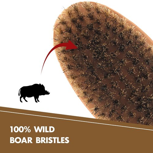 Boar Bristle Beard Brush for Men - Compact Wooden Mustache Brush for Travel | Soft Bristles