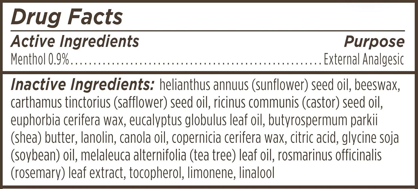 Burt's Bees Medicated Lip Balm - Eucalyptus Oil & Menthol - Natural Tint-Free Care | 4 Tubes, 0.15 oz