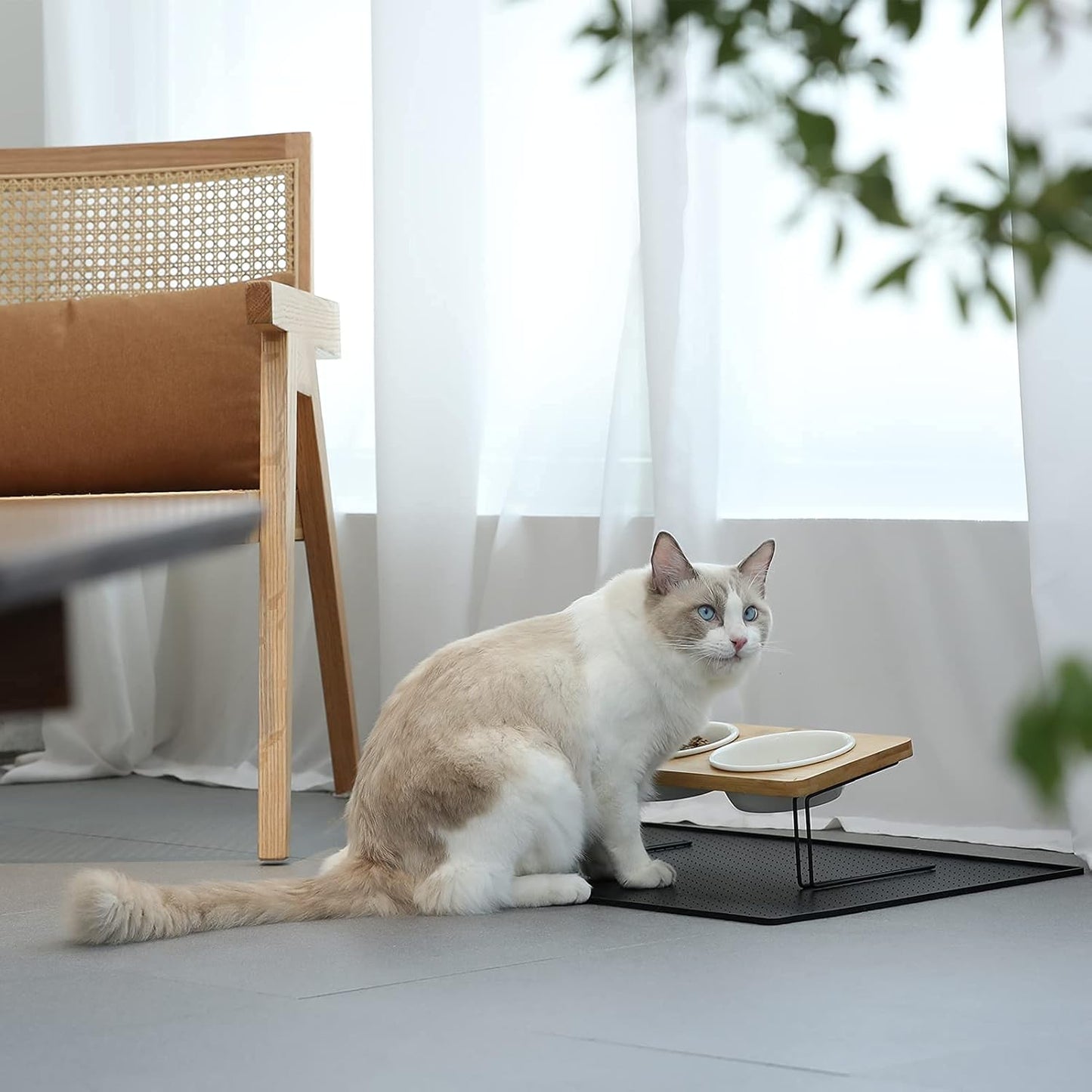 FUKUMARU Elevated Cat Ceramic Bowls, Small Dog 15° Tilted Raised Food Feeding Dishes, Solid Bamboo Water Stand Feeder Set for Cats and Puppy