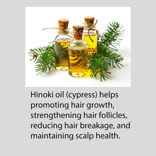 Hayashi Hinoki Shampoo - Nourishing Formula for Healthy Hair | 10.1 Fl Oz