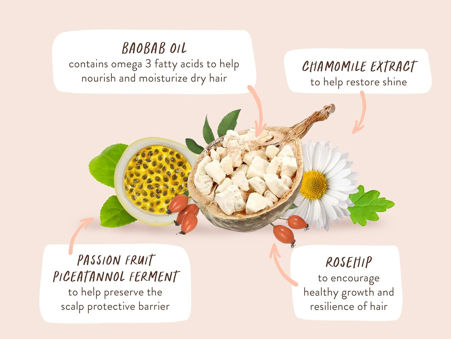 Babo Botanicals Defining Baobab & Rosehip Shampoo | Conditioner Bundle for Extra Dry Curly Hair - Smooth & Define with Passion Fruit Ferment