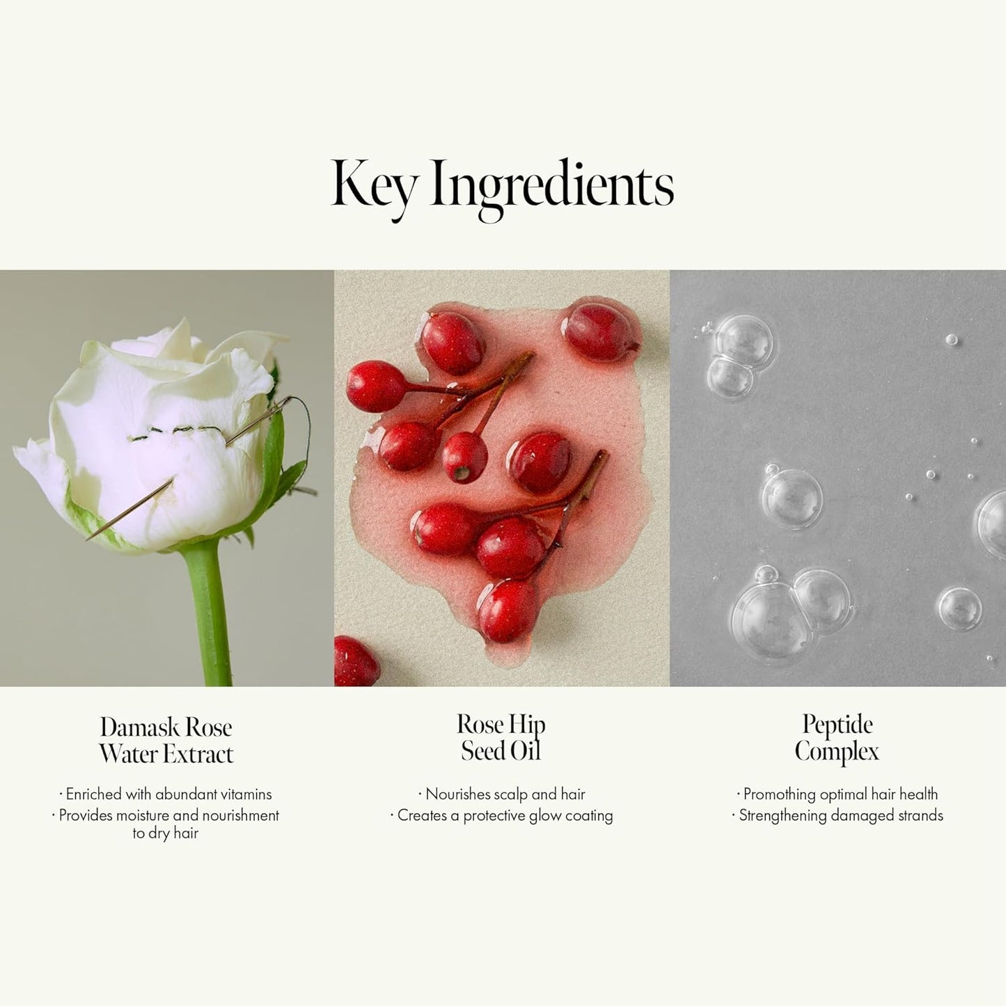 ANILLO Rosy Night Repair Hair Essence - Damask Rose Extract & Peptide Complex for Dry, Frizzy Hair | Vegan, 50ml