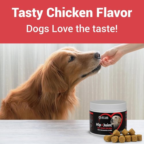 Advanced Dog Hip and Joint Supplement by 3-in-1 - Tasty Glucosamine Chews for All Breeds & Seniors - Chicken Flavor