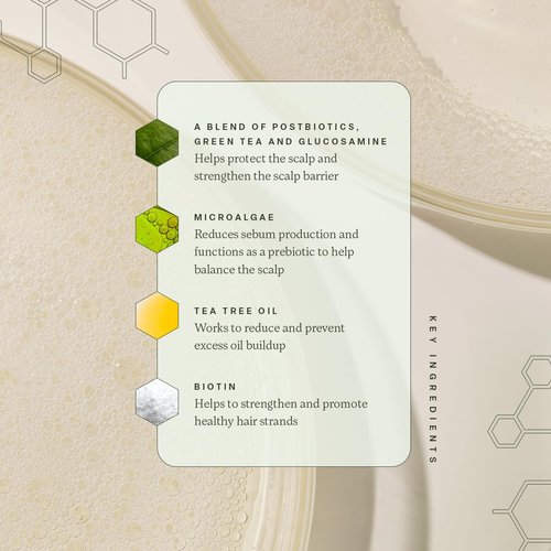 Divi Volumizing Shampoo - Lightweight Formula for Fine Hair | Nourishes and Balances Scalp