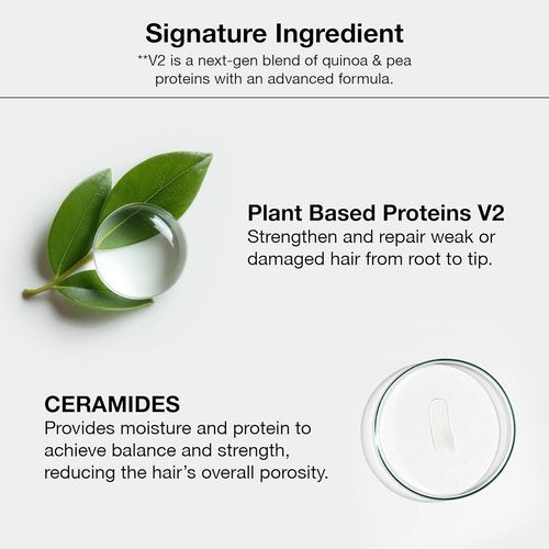 GK HAIR Color Cream - Lightest Platinum Blonde | 100% Grey Coverage | Salon Quality Hair Dye - 3.4 Oz