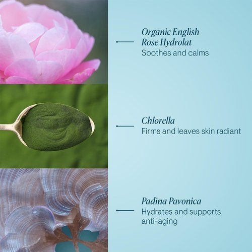 ELEMIS Pro-Collagen Rose Marine Cream - Anti-Aging Moisturizer for Radiant Skin | 1.6 oz