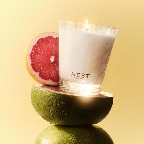 NEST New York Scented Classic Candle - Grapefruit Fragrance | 8.1 oz | Up to 60-Hour Burn Time