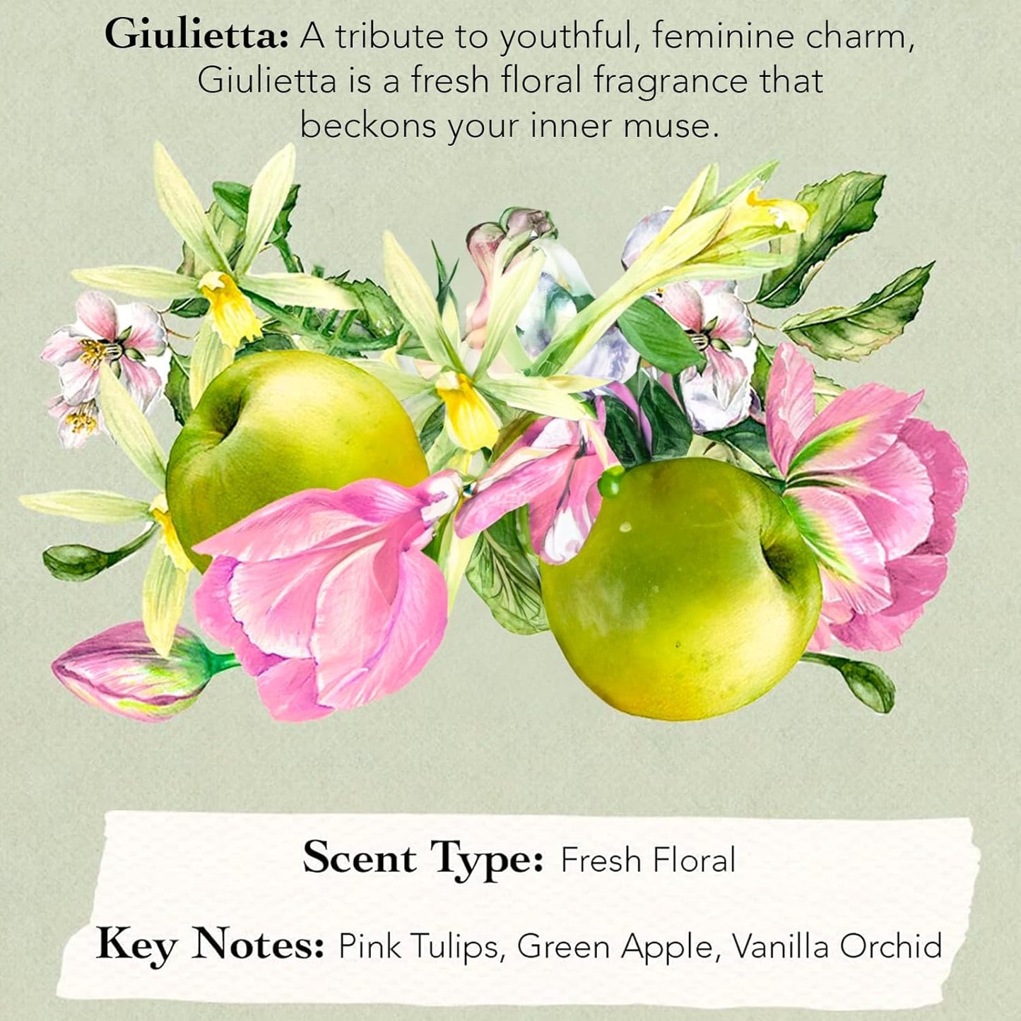 Tocca Women's Perfume Mini Discovery Sampler Set - 8 Unique Scents (1.5ml Each) | Cleopatra, Stella & More
