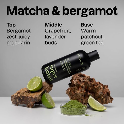 ATTITUDE 2-in-1 Fortifying Shampoo & Conditioner for Men - 415 mL | Nourishing Hair Care