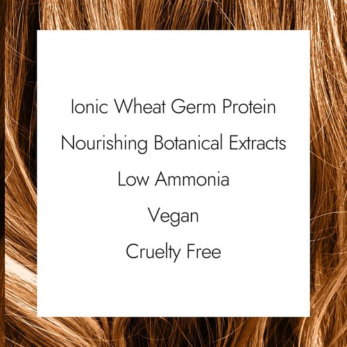 Regine Switzerland Ion Permanent Creme Hair Color - Vibrant Copper Blonde Shade